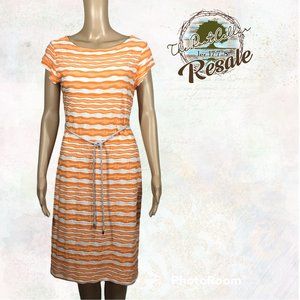 Sharagano Size 8 Dress